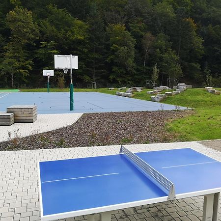 Ferienwohnung In Waldrandlage In Nationalpark Schleiden / Eifel Eksteriør billede