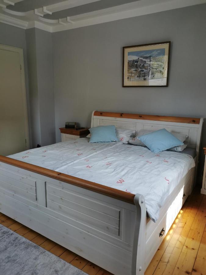 Ferienwohnung In Waldrandlage In Nationalpark Schleiden / Eifel Eksteriør billede