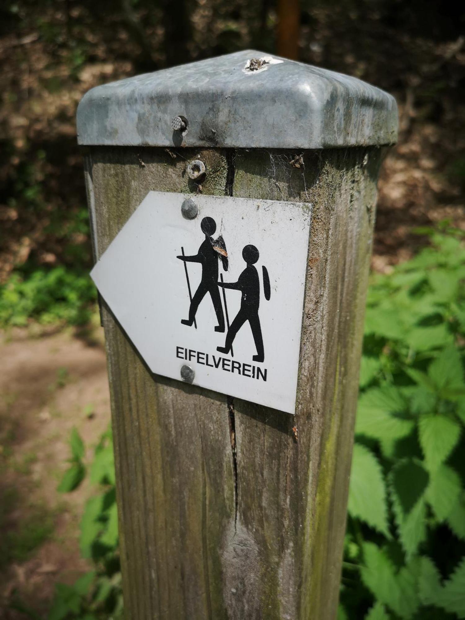 Ferienwohnung In Waldrandlage In Nationalpark Schleiden / Eifel Eksteriør billede