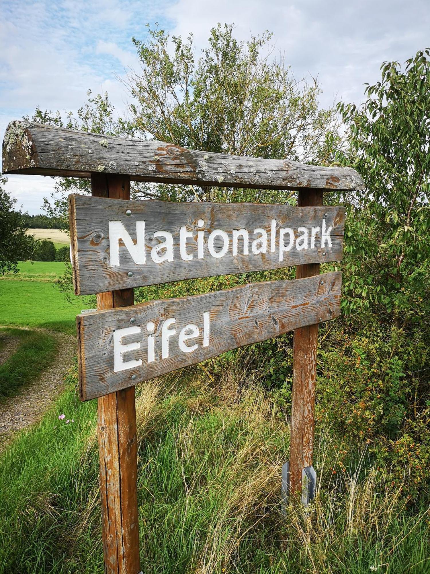Ferienwohnung In Waldrandlage In Nationalpark Schleiden / Eifel Eksteriør billede