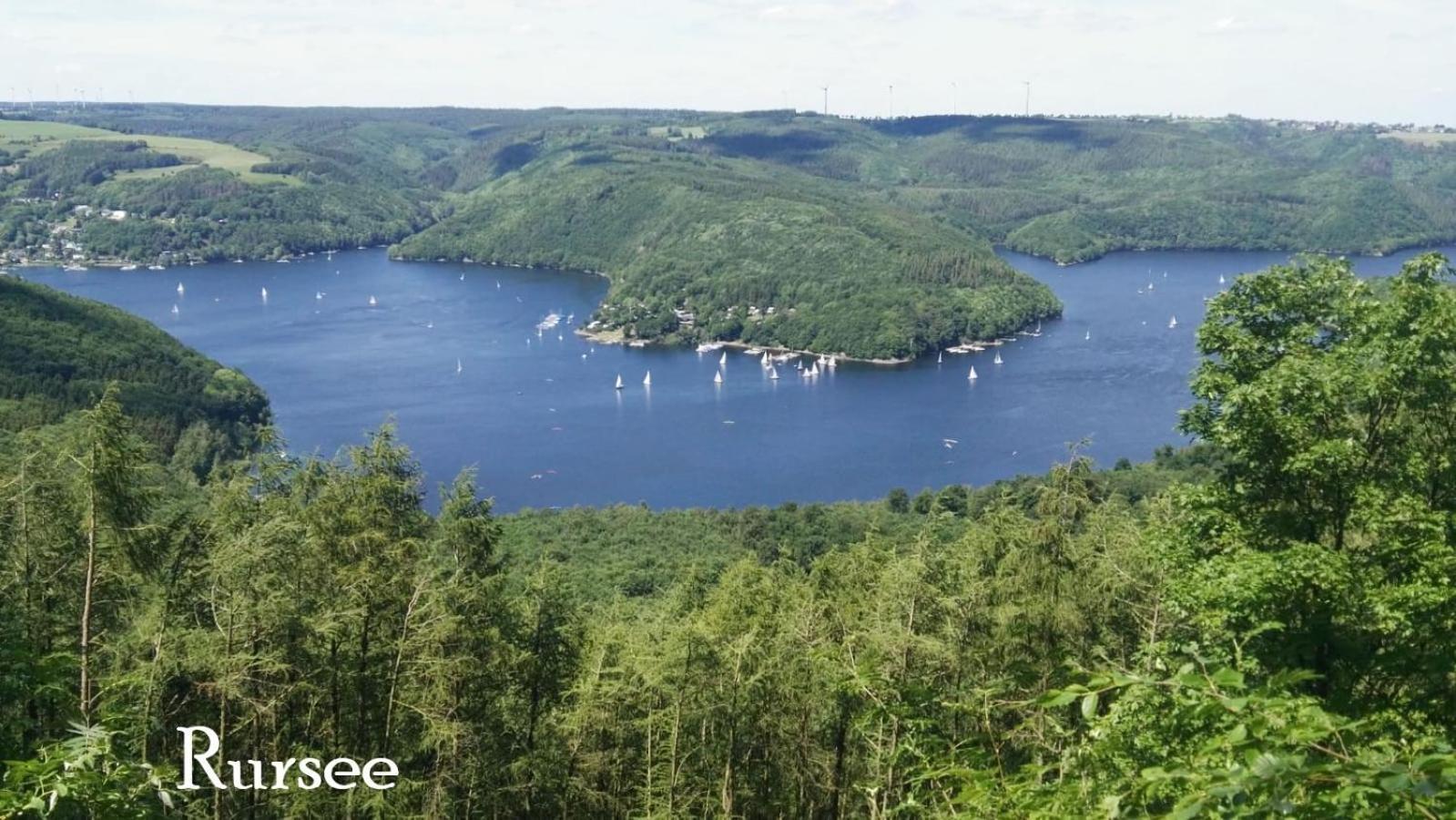 Ferienwohnung In Waldrandlage In Nationalpark Schleiden / Eifel Eksteriør billede