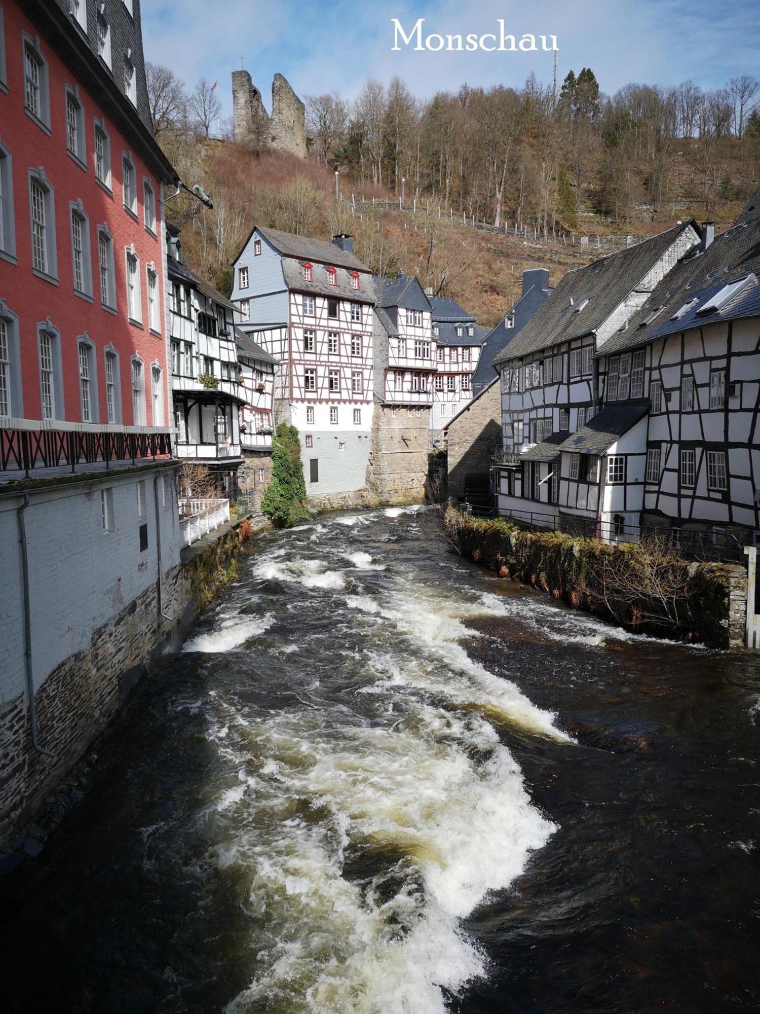 Ferienwohnung In Waldrandlage In Nationalpark Schleiden / Eifel Eksteriør billede