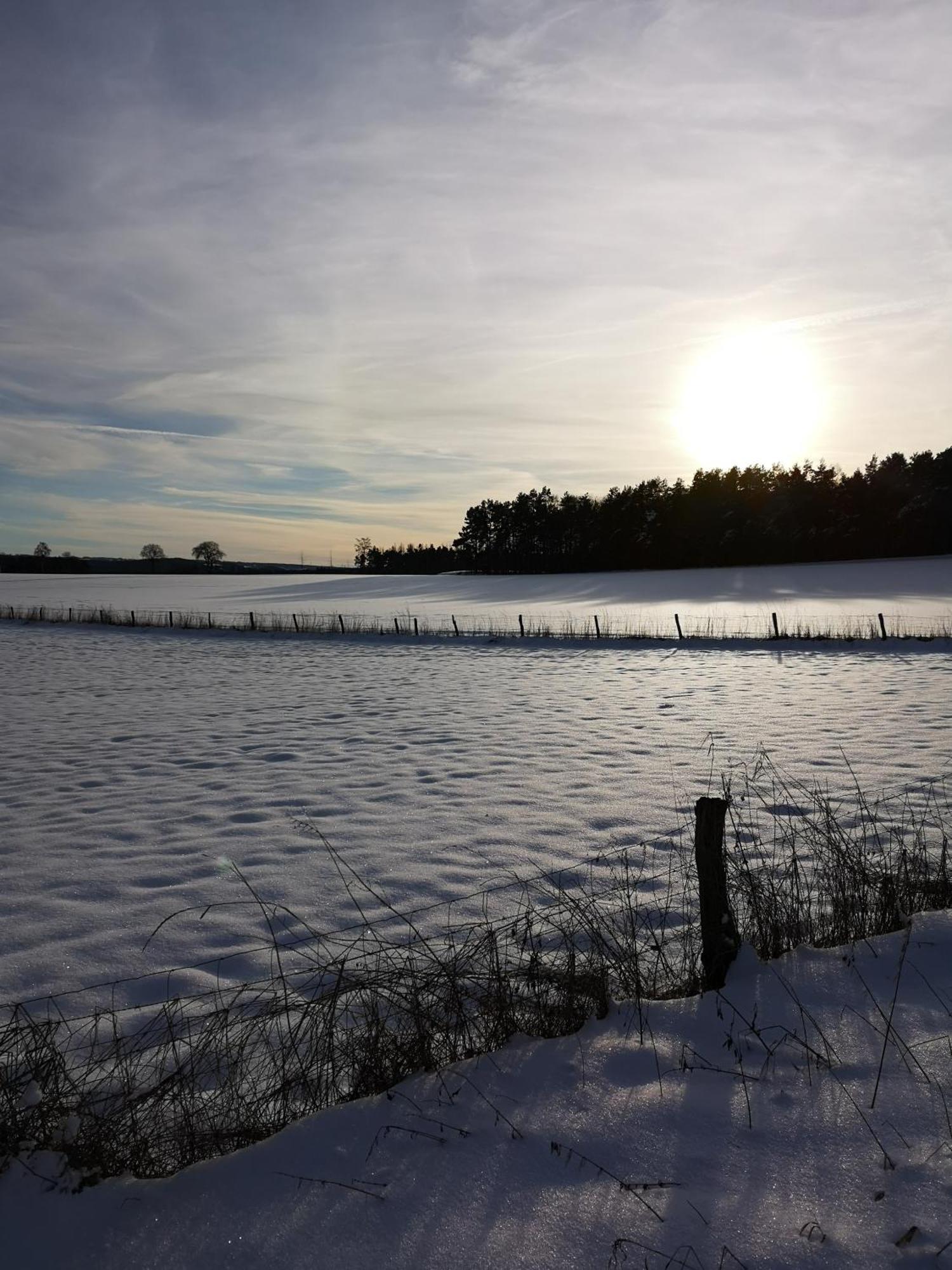 Ferienwohnung In Waldrandlage In Nationalpark Schleiden / Eifel Eksteriør billede