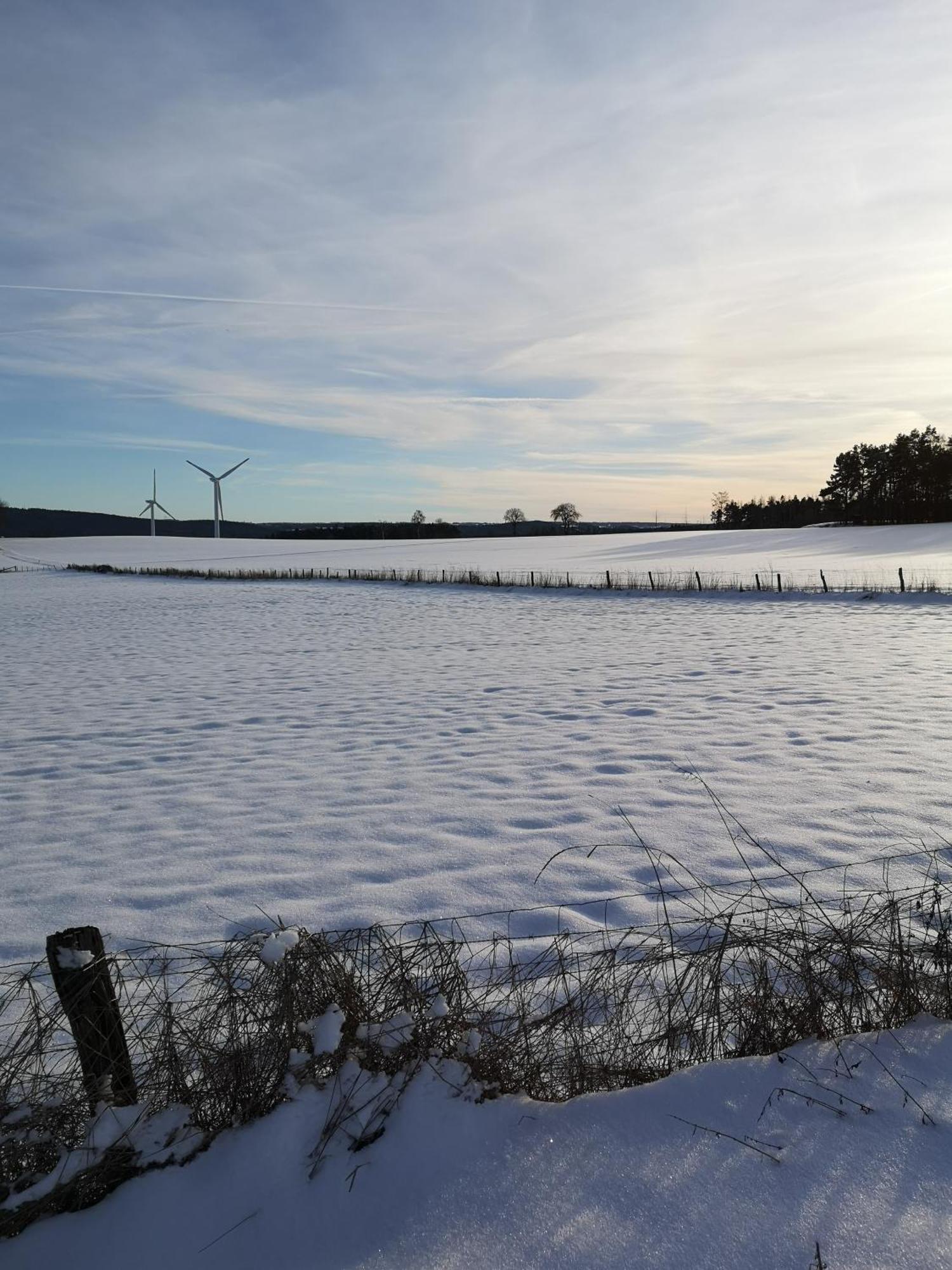 Ferienwohnung In Waldrandlage In Nationalpark Schleiden / Eifel Eksteriør billede