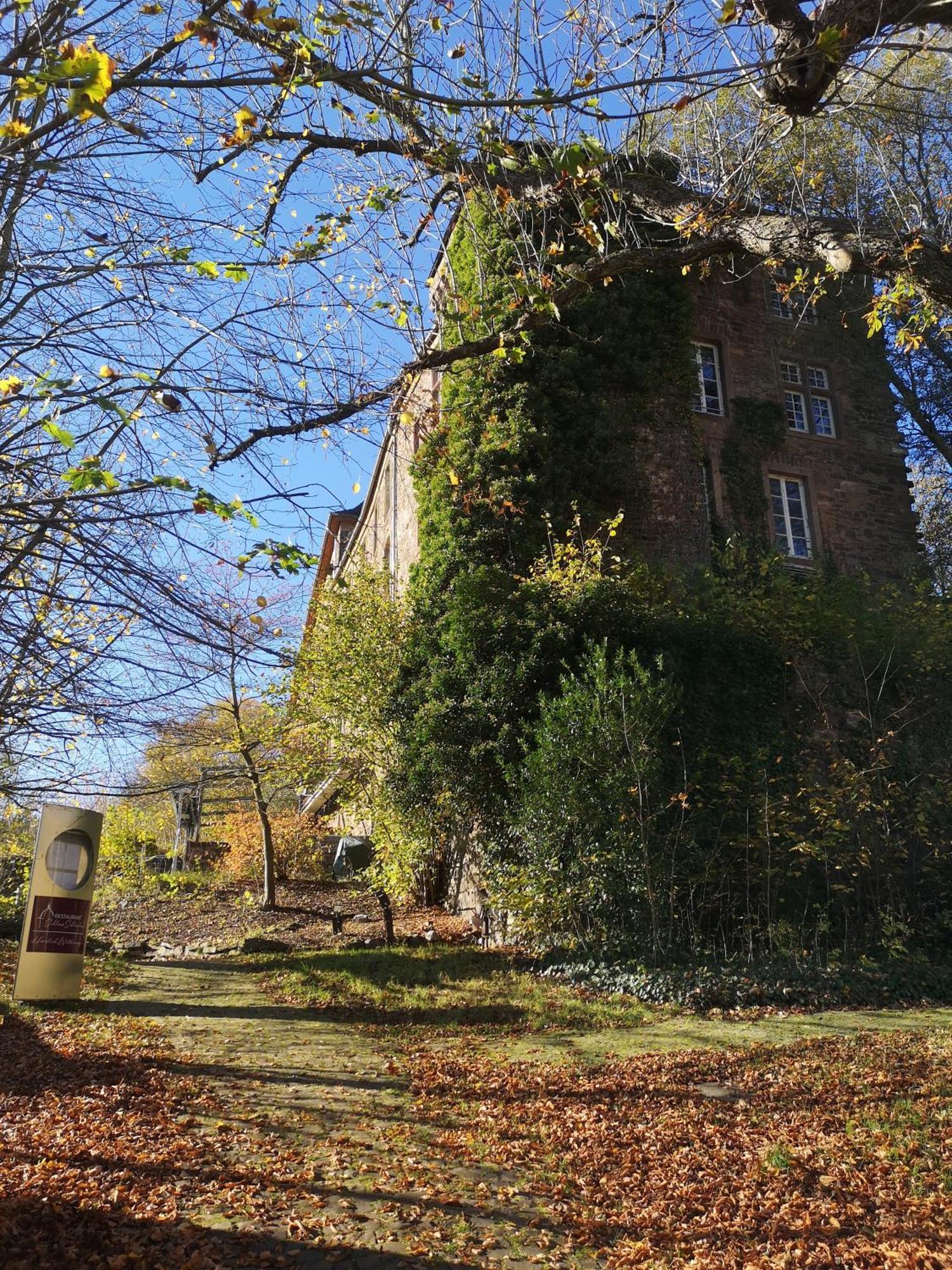 Ferienwohnung In Waldrandlage In Nationalpark Schleiden / Eifel Eksteriør billede