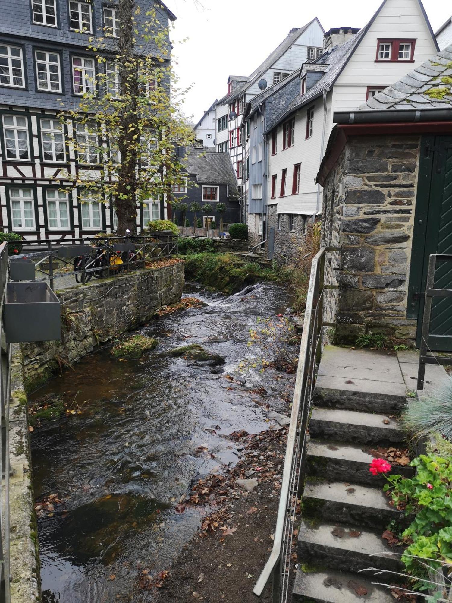 Ferienwohnung In Waldrandlage In Nationalpark Schleiden / Eifel Eksteriør billede