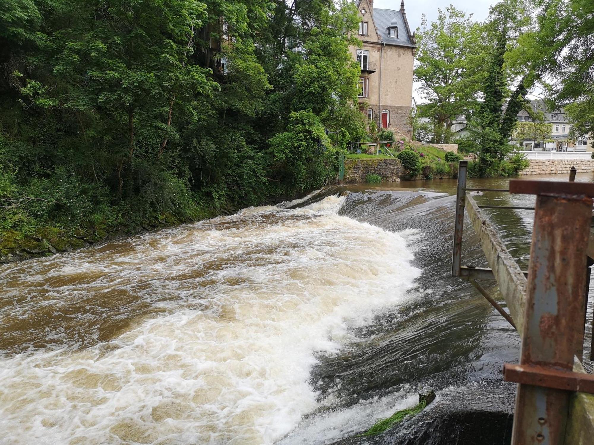 Ferienwohnung In Waldrandlage In Nationalpark Schleiden / Eifel Eksteriør billede