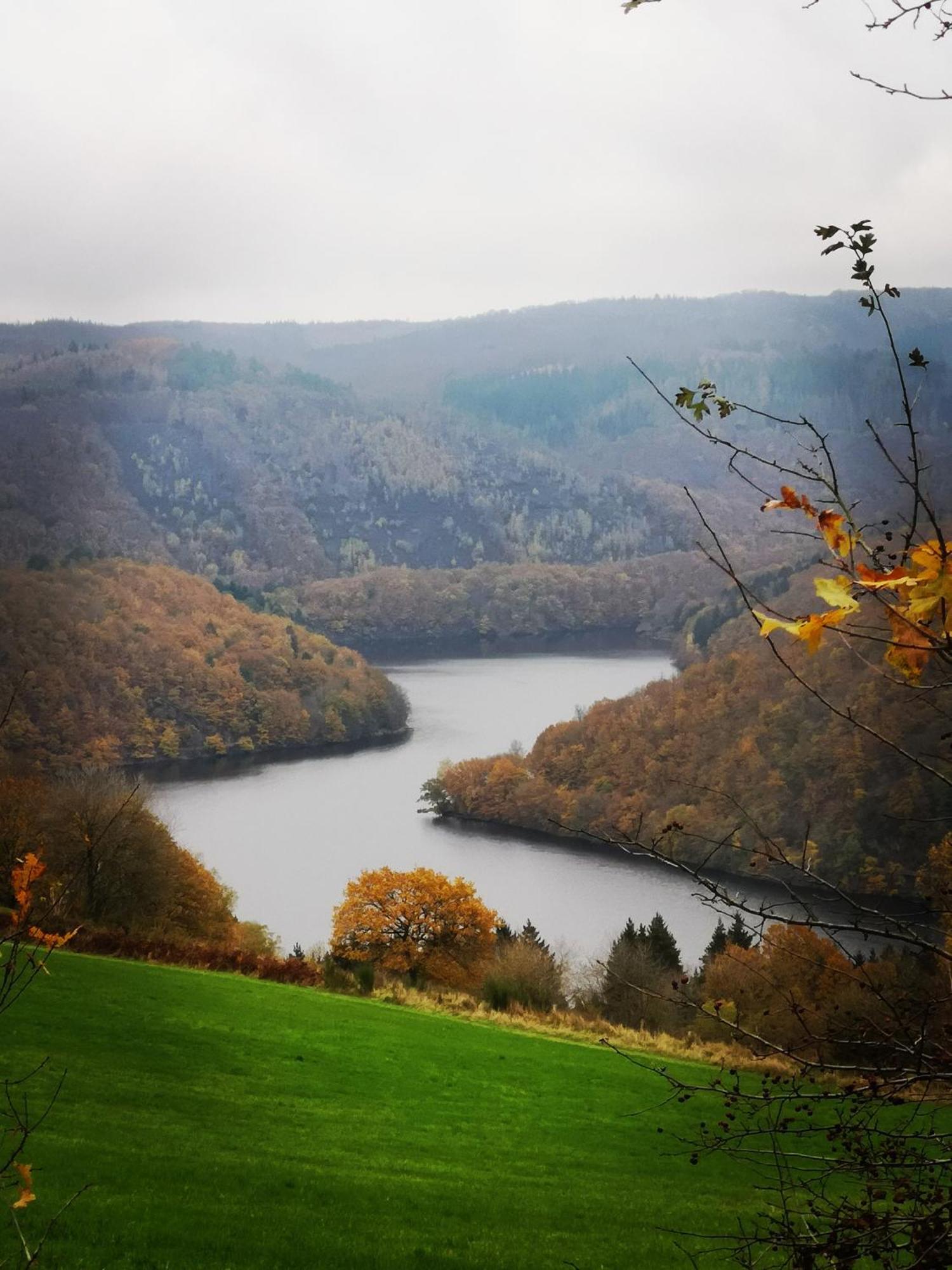 Ferienwohnung In Waldrandlage In Nationalpark Schleiden / Eifel Eksteriør billede